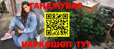 крисы Камышлов