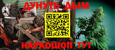 крисы Камышлов