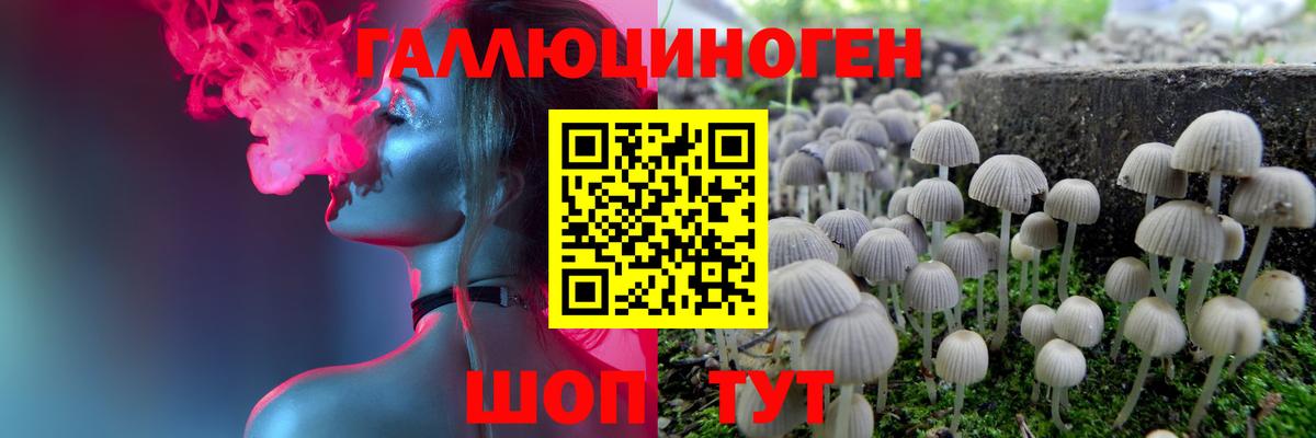 Галлюциногенные грибы ЛСД Кудрово